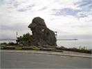 Bico do Papagaio -1